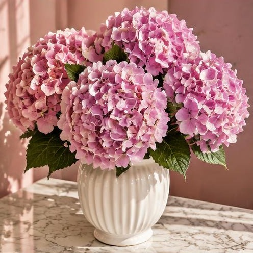 لحظة ورد من أروى